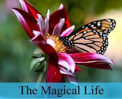 The Magical Life